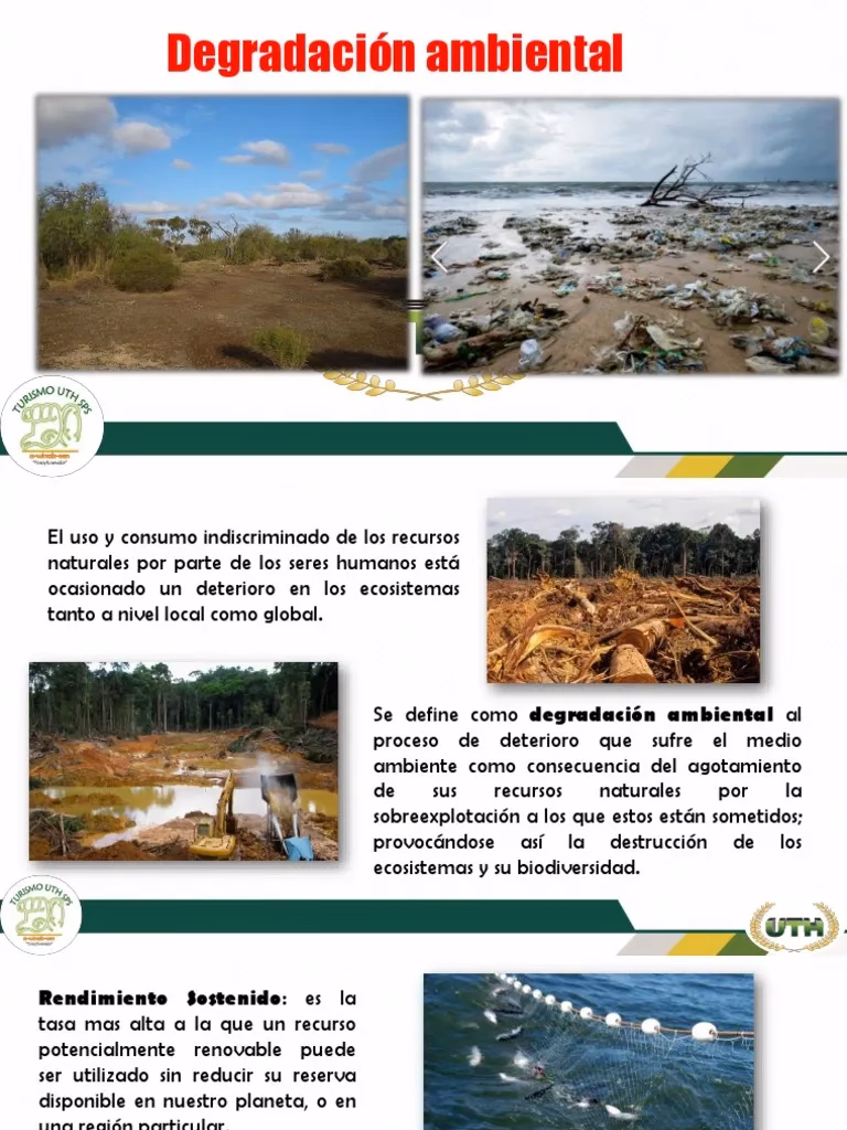 ¿Cómo combatir la degradación ambiental?