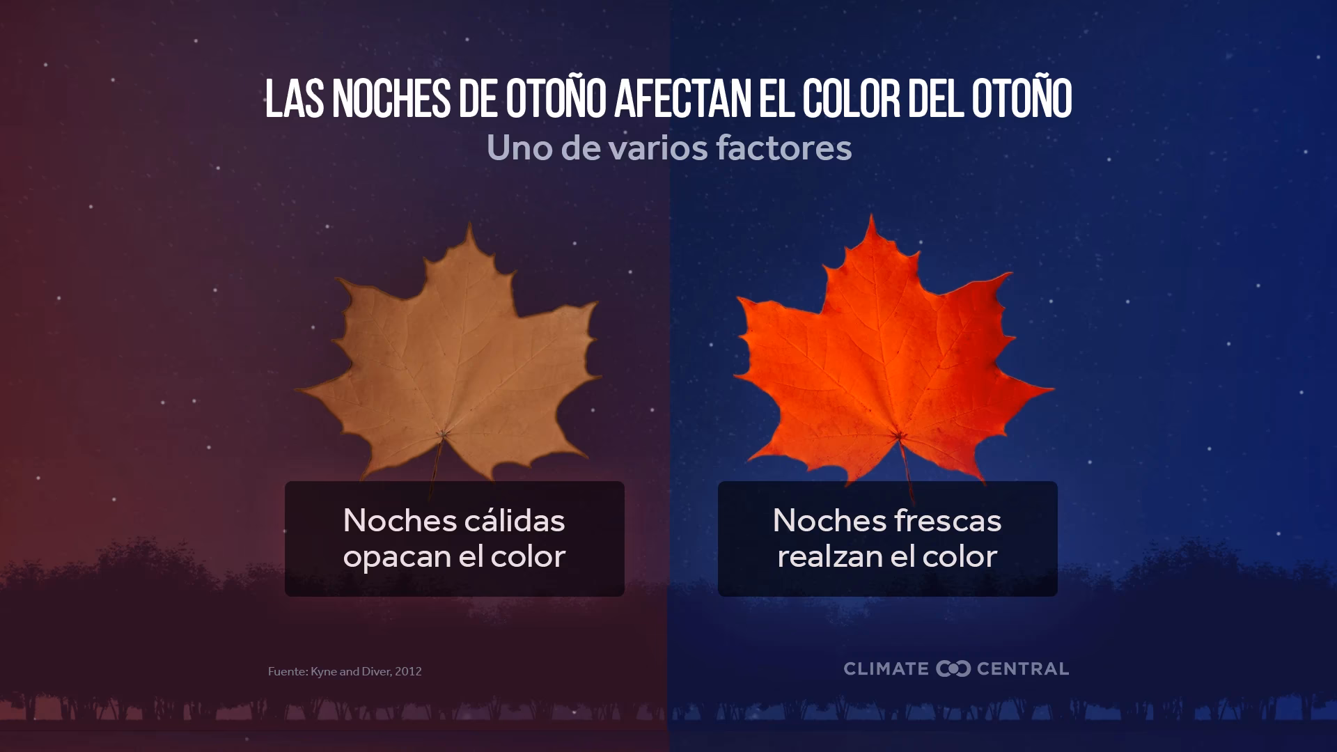 ¿Cuál es el descenso de las precipitaciones en otoño?