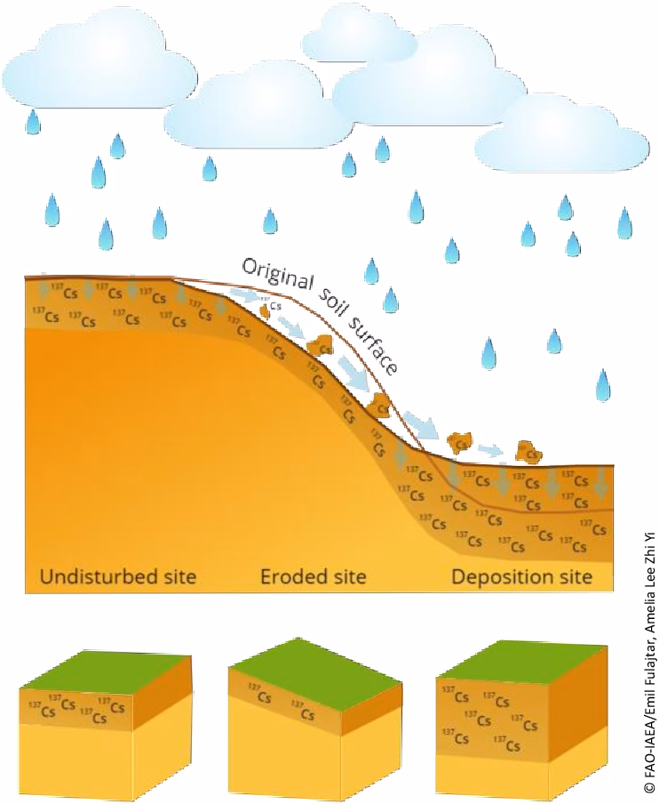 ¿Cómo se recolectan las muestras de agua y sedimento?