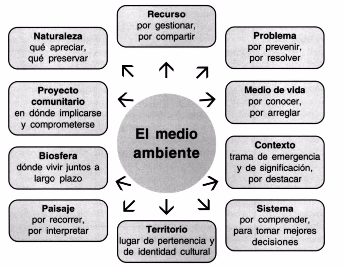 ¿Cómo podemos contribuir al cuidado del Medio Ambiente?