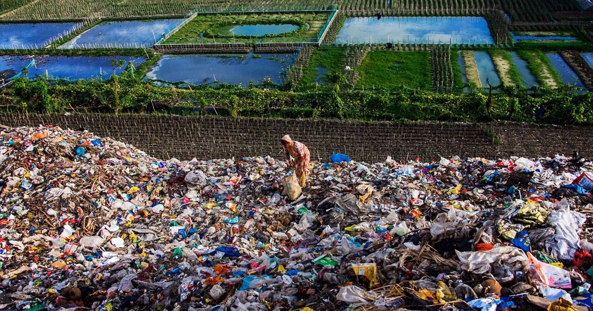 ¿Qué acciones individuales puedo realizar para proteger el medio ambiente?