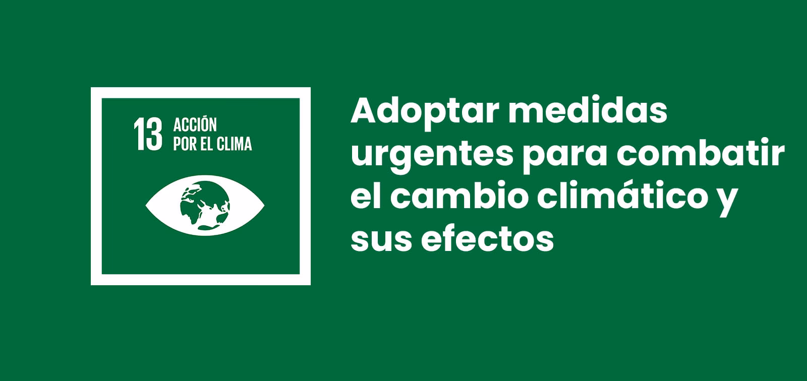 ¿Qué es la lucha contra el cambio climático?