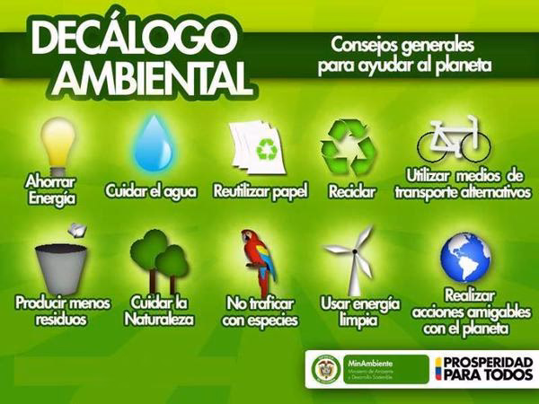 ¿Cómo pueden mejorar las prácticas eco amigables la moral y el compromiso de los empleados?