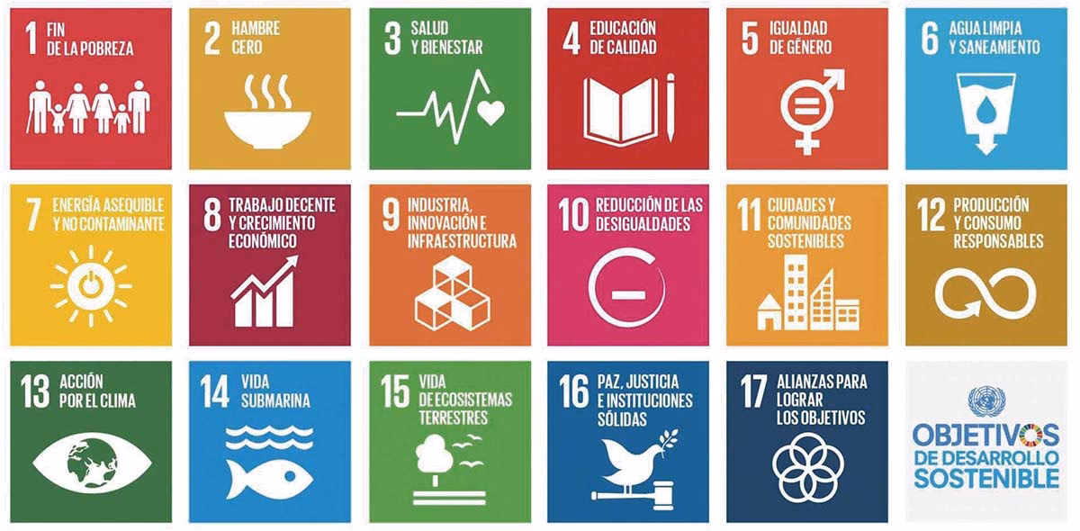 ¿Qué son las acciones sustentables?