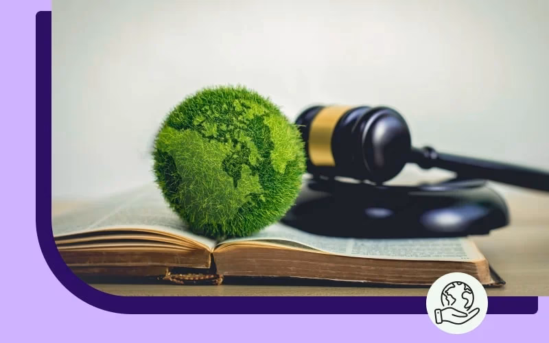 ¿Cuál es el objetivo de la ONG?