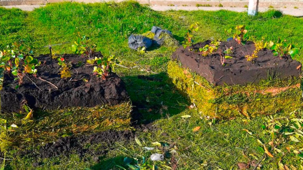 ¿Cómo afecta el aceite de cocina al suelo?