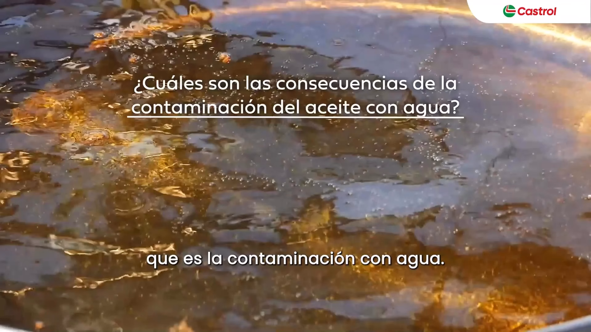 ¿Qué pasa si un litro de aceite contamina el agua?