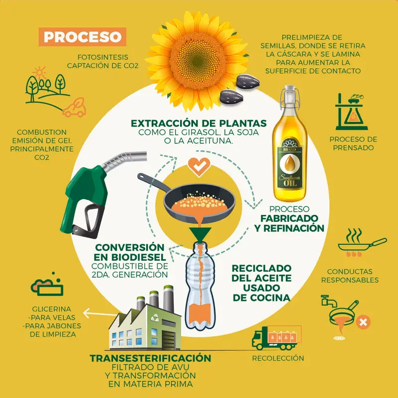 ¿Qué es el aceite diatérmico?