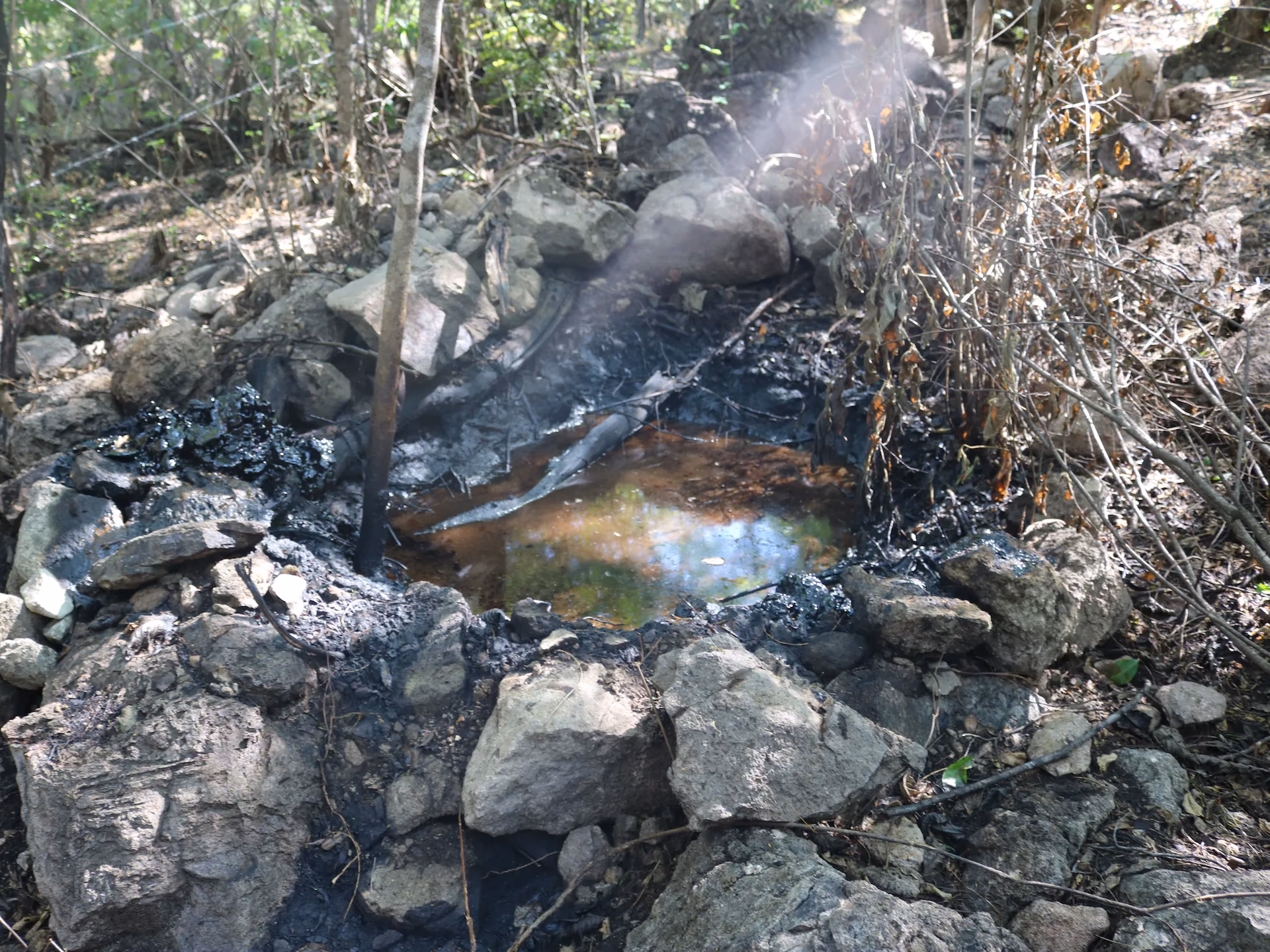 ¿Qué consecuencias trae la exposición oral aguda al ácido muriático?