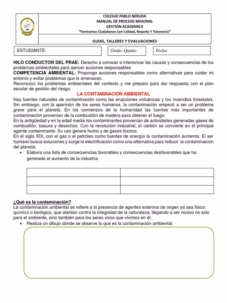 ¿Qué es la educación en Ciencia y ambiente para quinto de primaria?