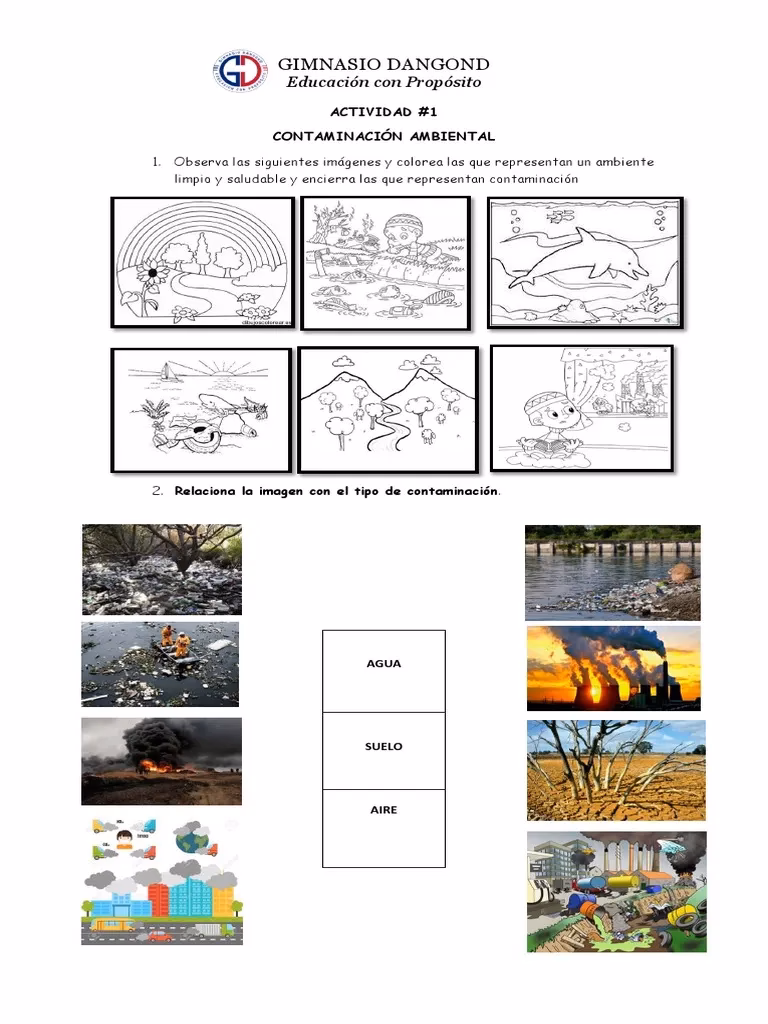 ¿Cuáles son las tareas que pueden causar contaminación?