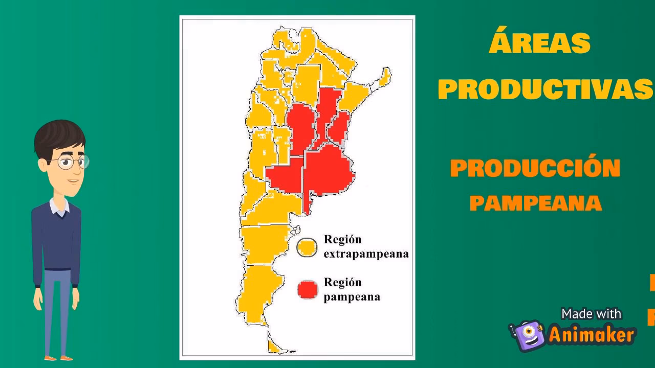 ¿Cuáles son los sectores de la economía argentina?