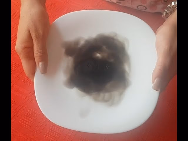 ¿Cómo disminuir la contaminación del aire?