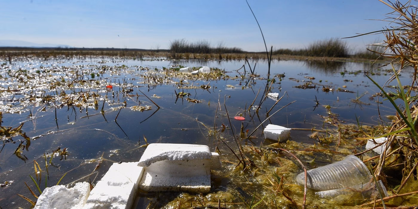 ¿Cuáles son las amenazas de los humedales?