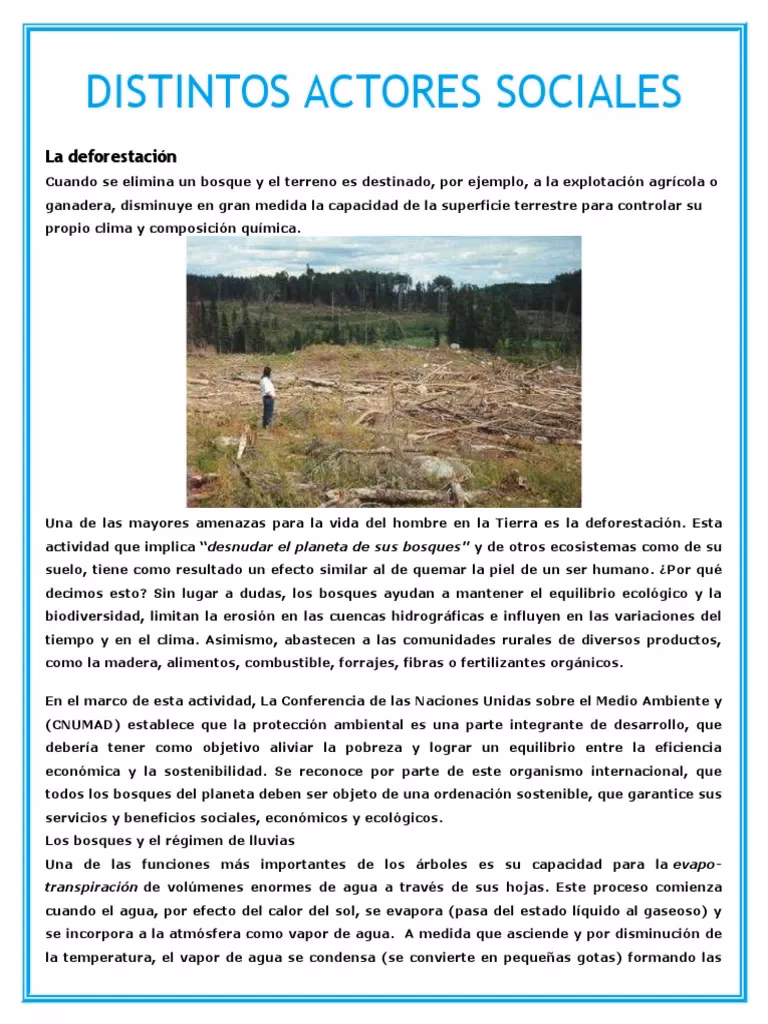 ¿Cuáles son los agentes de deforestación más importantes?