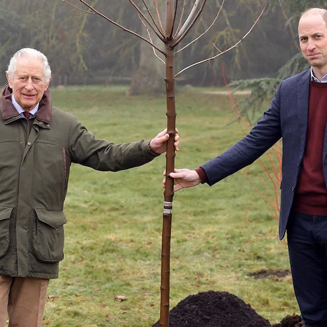 ¿Qué es la educación ambiental?