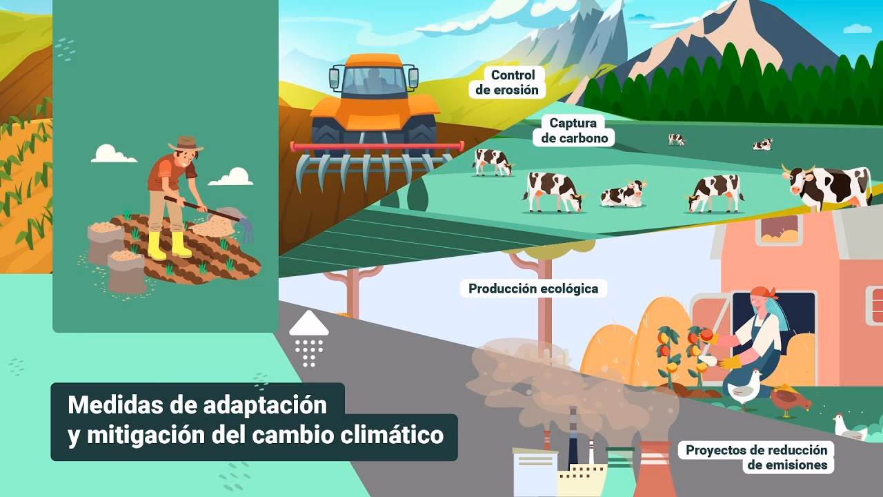 ¿Cómo enfrentar el cambio climático?