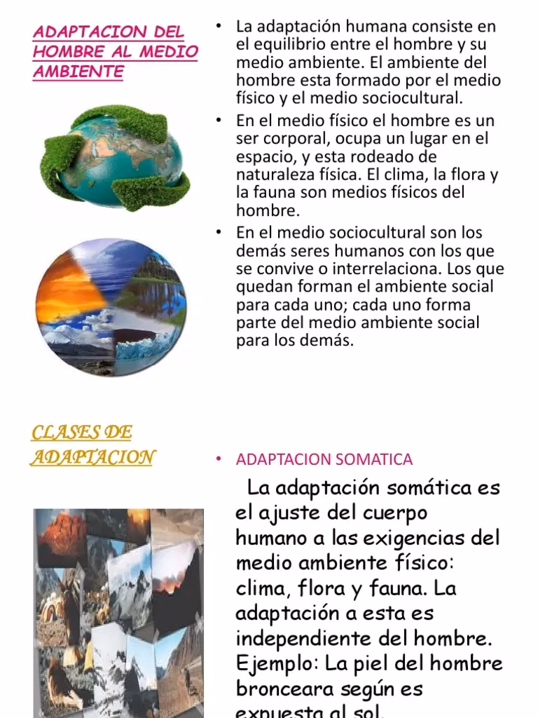 ¿Qué factores influyen en la adaptación de la habitación a las condiciones del medio?