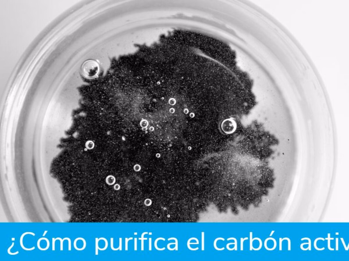 ¿Cuál es el efecto del carbón activado en la muestra de agua contaminada?
