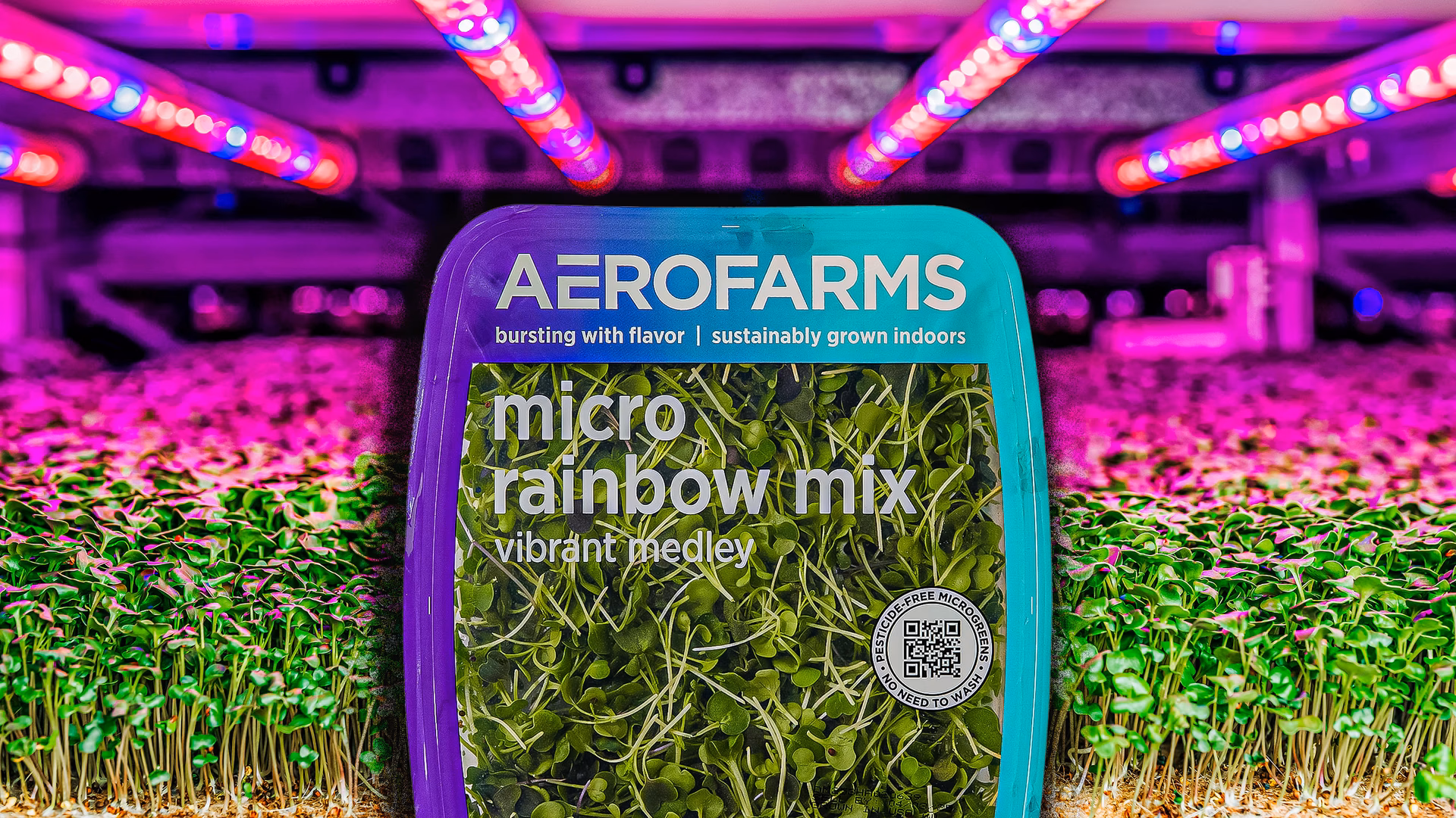 ¿Cómo aprovechar la economía circular?