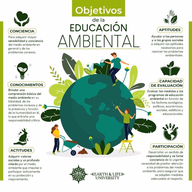 ¿Qué son los afiches ecológicos?