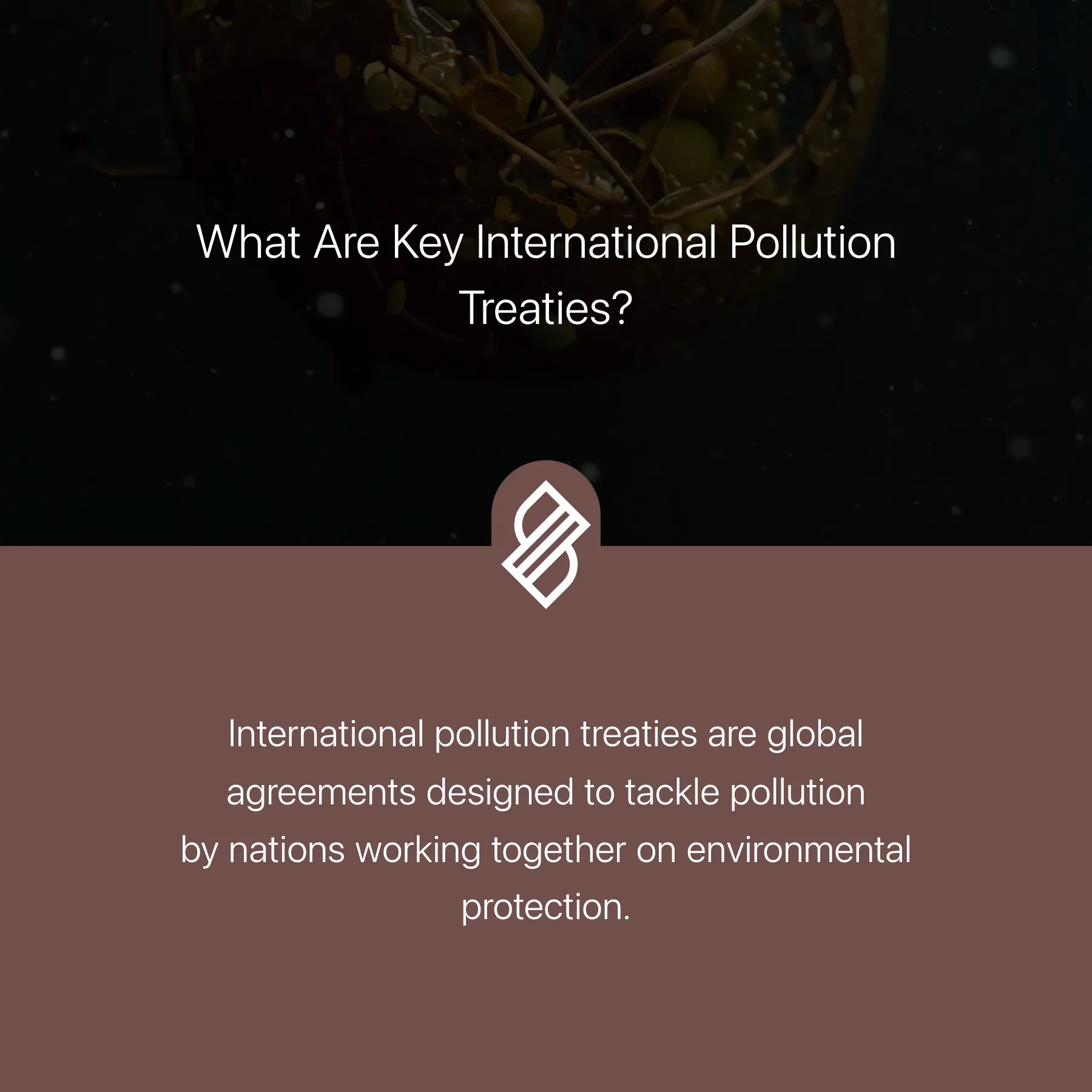 What are international environmental agreements & treaties in 2024?