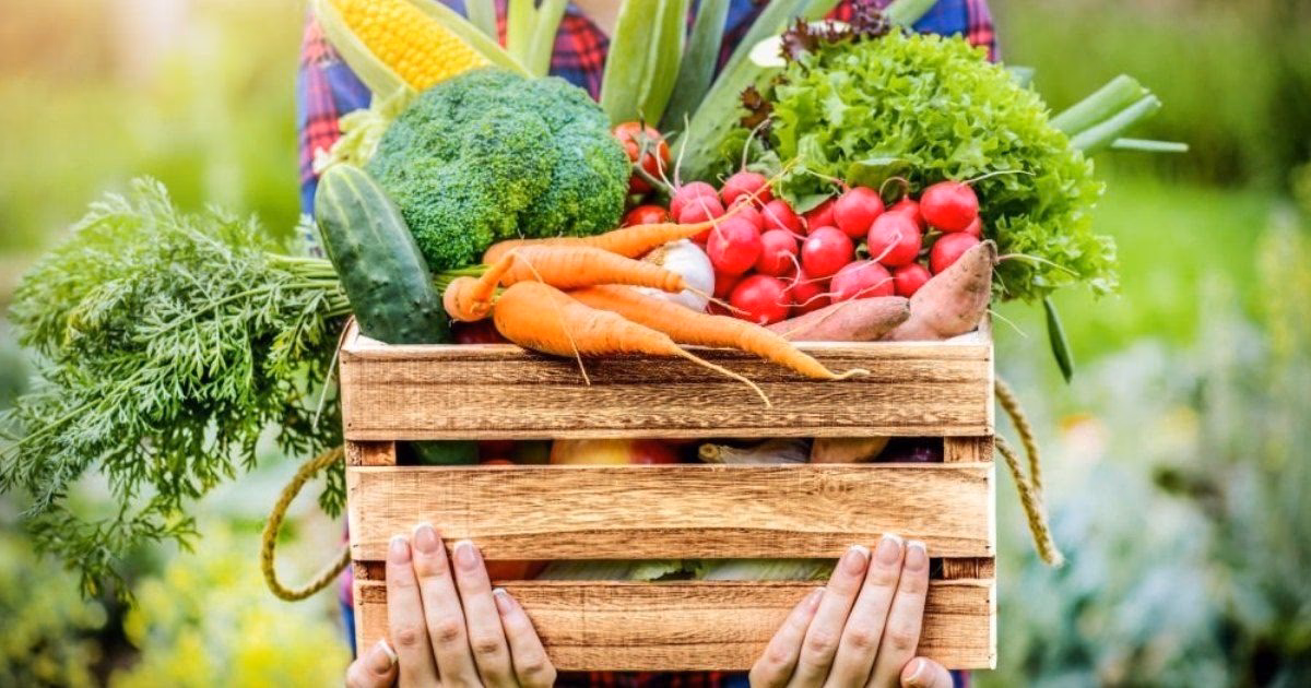 ¿Cuál es la diferencia entre producción orgánica y ecológica?