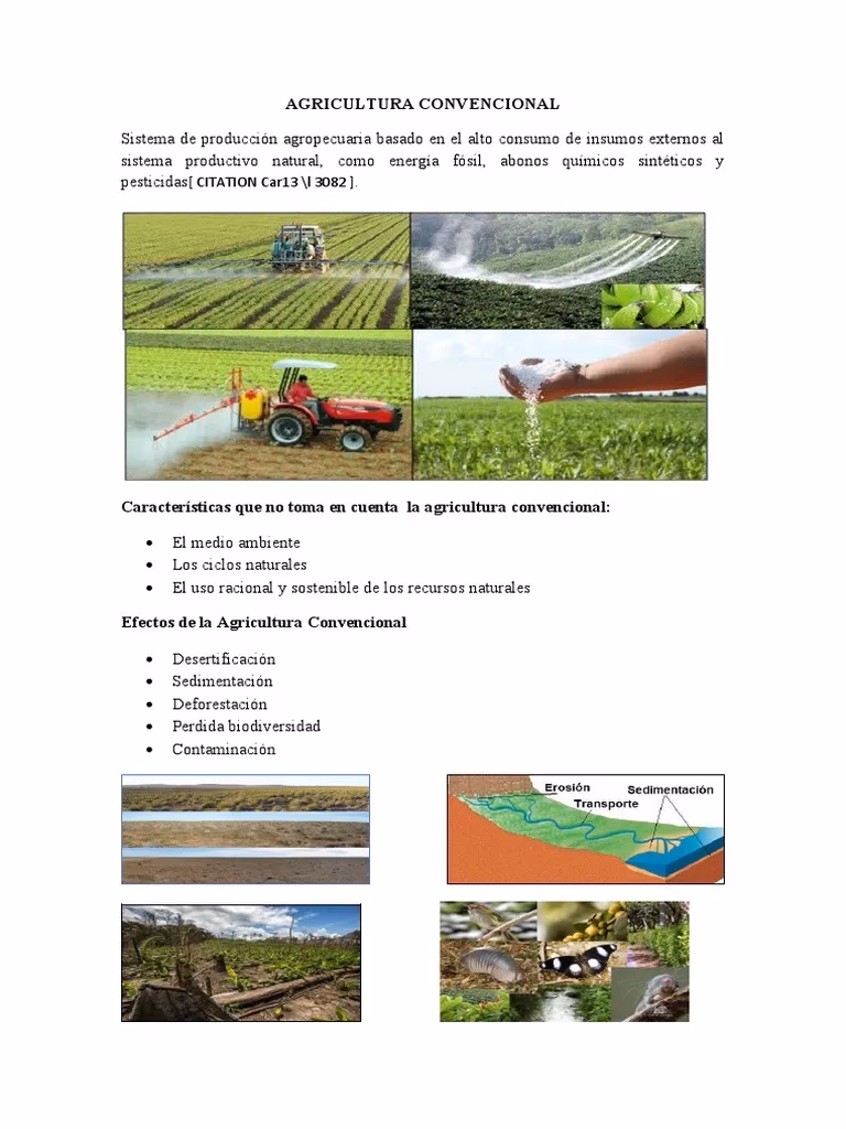 ¿Por qué Rank buscó una alternativa a la agricultura convencional?