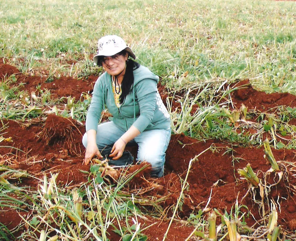 ¿Qué hace la ley para promover la agricultura familiar?