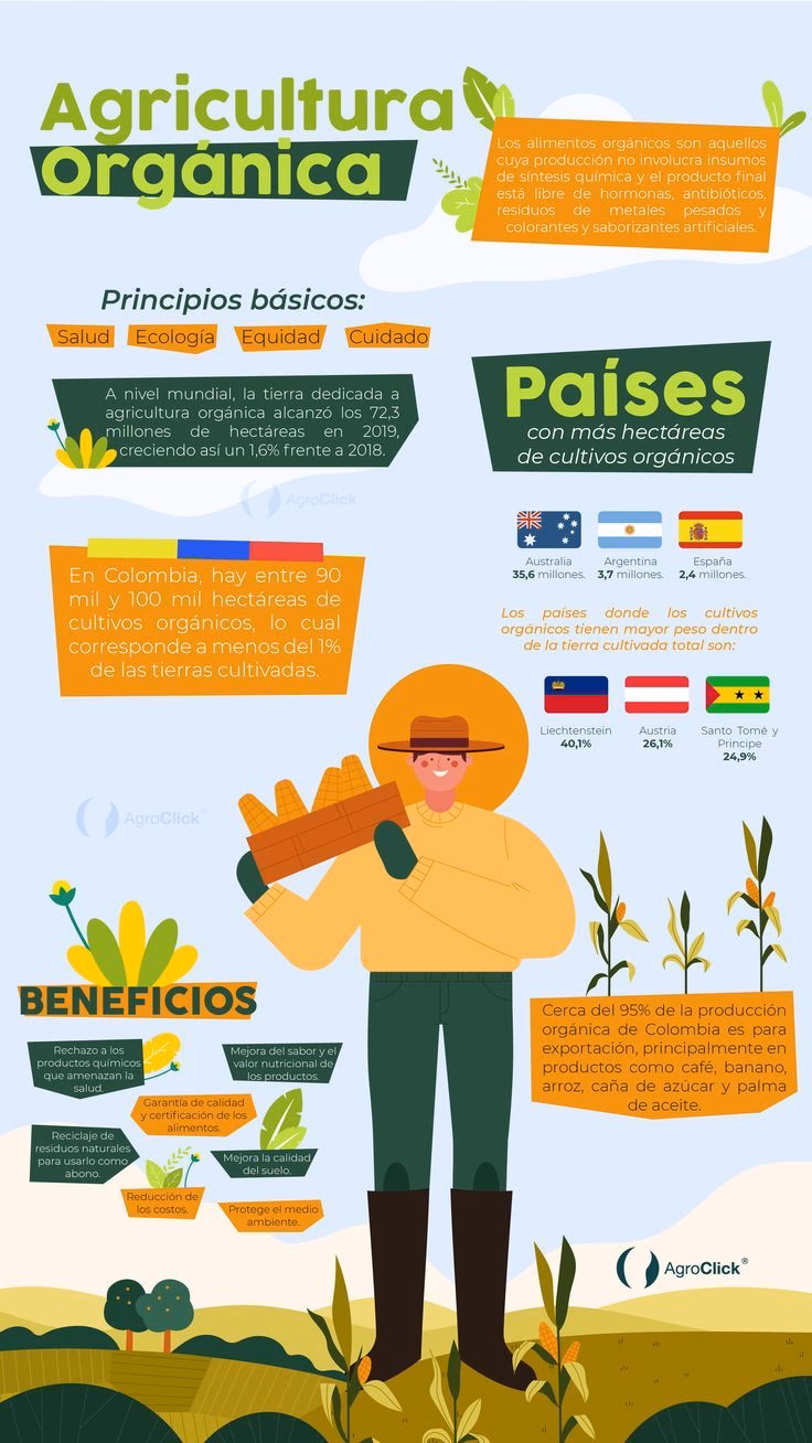¿Cuáles son los países con mayor superficie de Agricultura ecológica?
