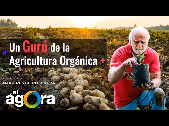 ¿Cuál es la rebaja para la apicultura y la ganadería?