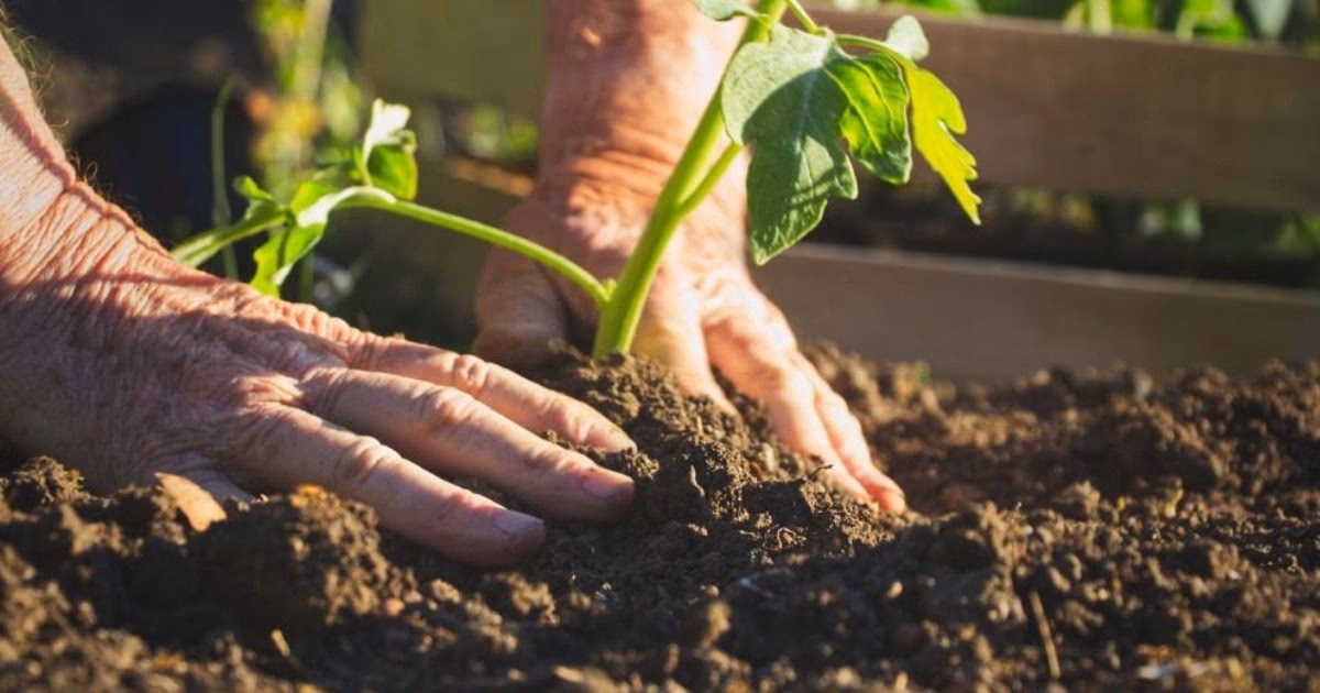 ¿Por qué elegir la agricultura orgánica?