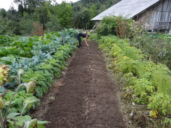 ¿Qué se oponía la agricultura orgánica?