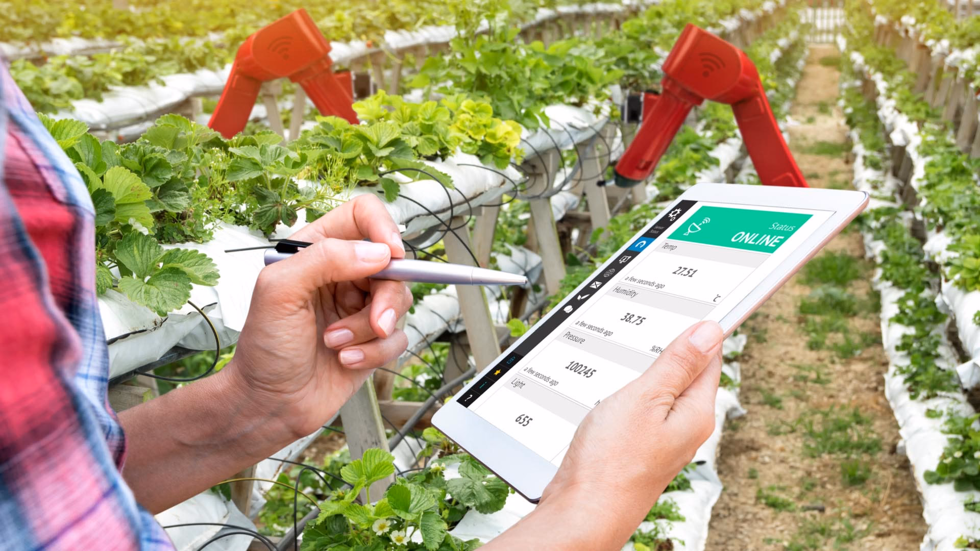 ¿Cómo encontrar empleo en la agricultura?