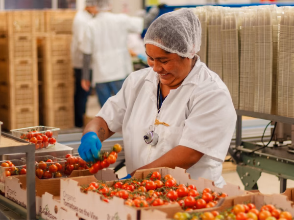 ¿Cuáles son las posibilidades del empleo en la agricultura?