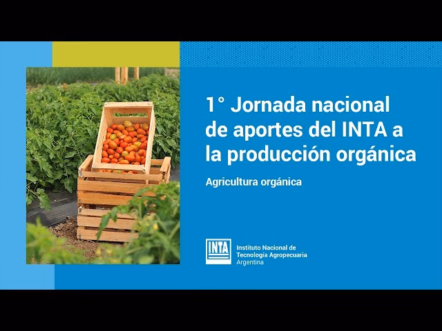 ¿Cuáles son los cultivares del INTA?