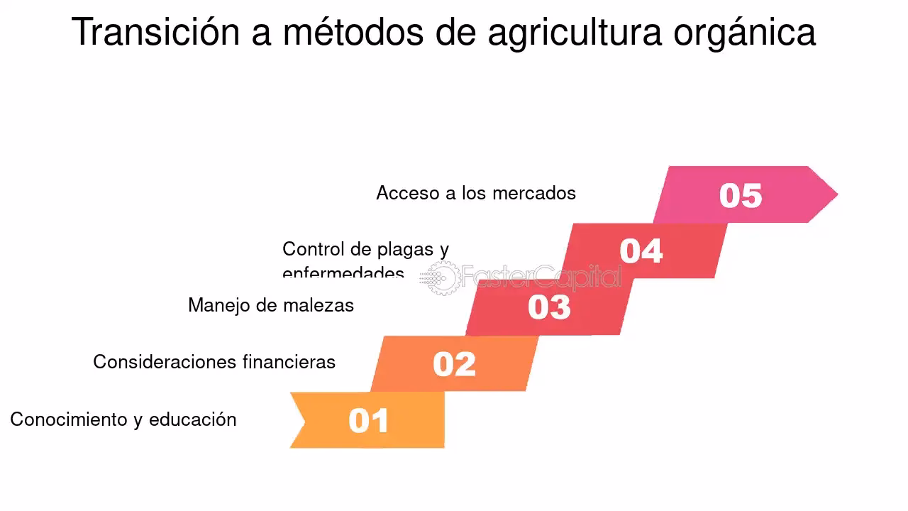 ¿Cuál es el período de transición para pasar del sistema convencional al orgánico?