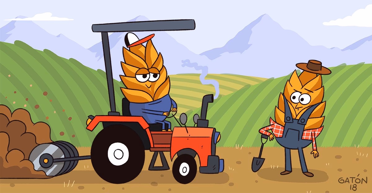 ¿Cuáles son las ventajas y desventajas de los alimentos orgánicos y transgénicos?