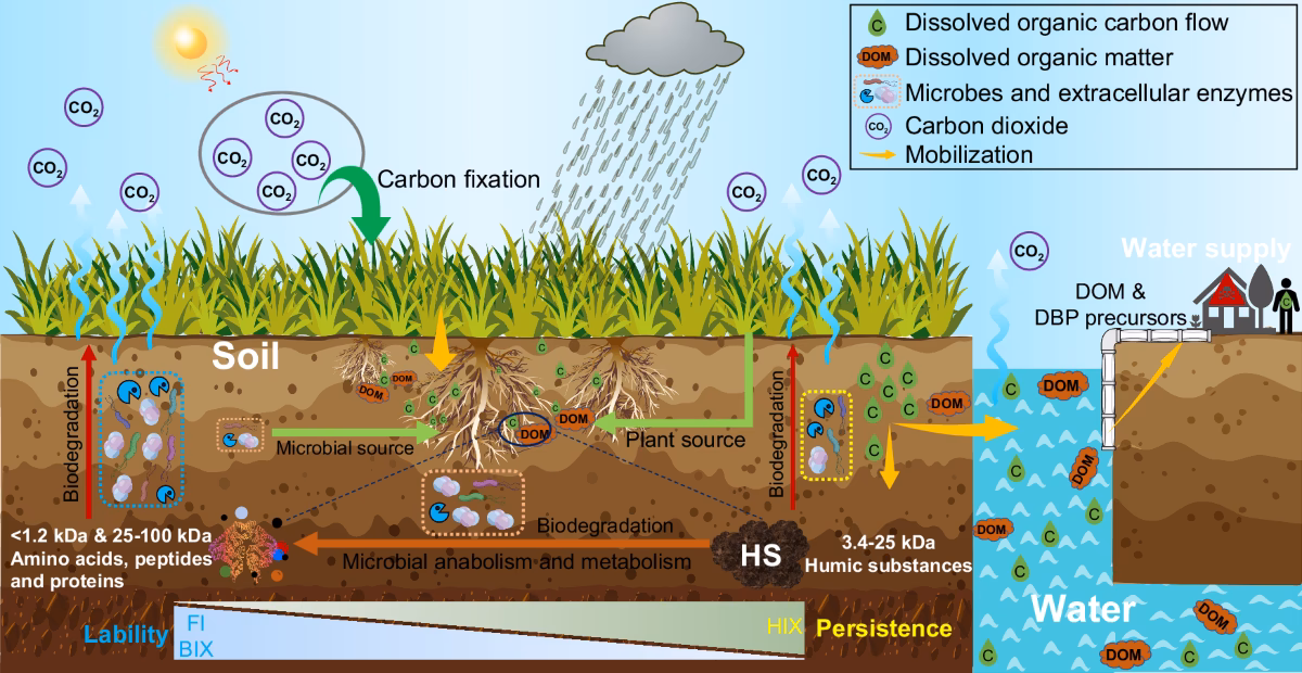 What are the different types of organic matter derived from agricultural waste?