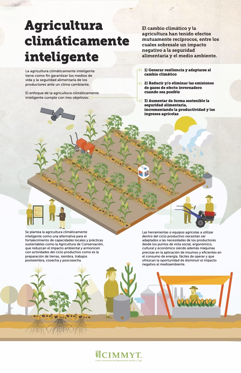 ¿Qué es la agroecología?