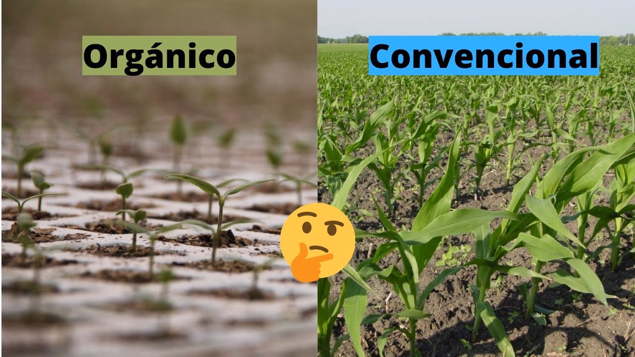 ¿Cuál es la diferencia entre producción orgánica y agroecológica?