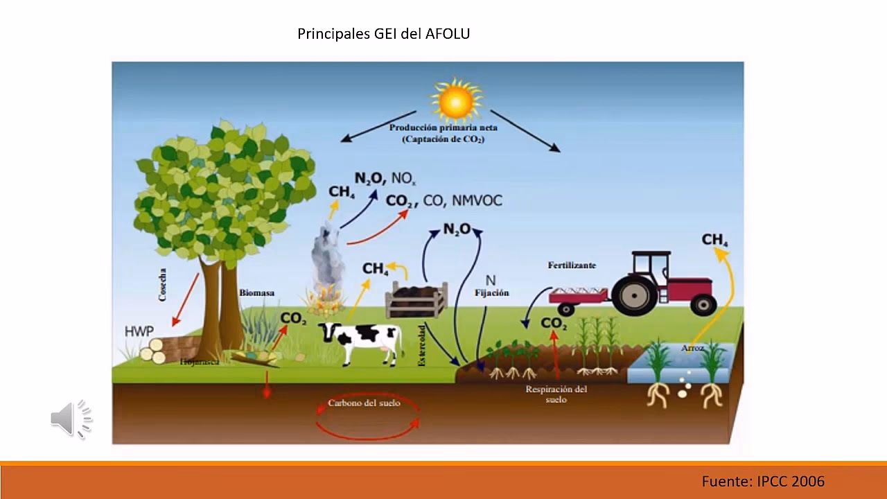 ¿Cómo reducir la huella de carbono en la agroindustria?