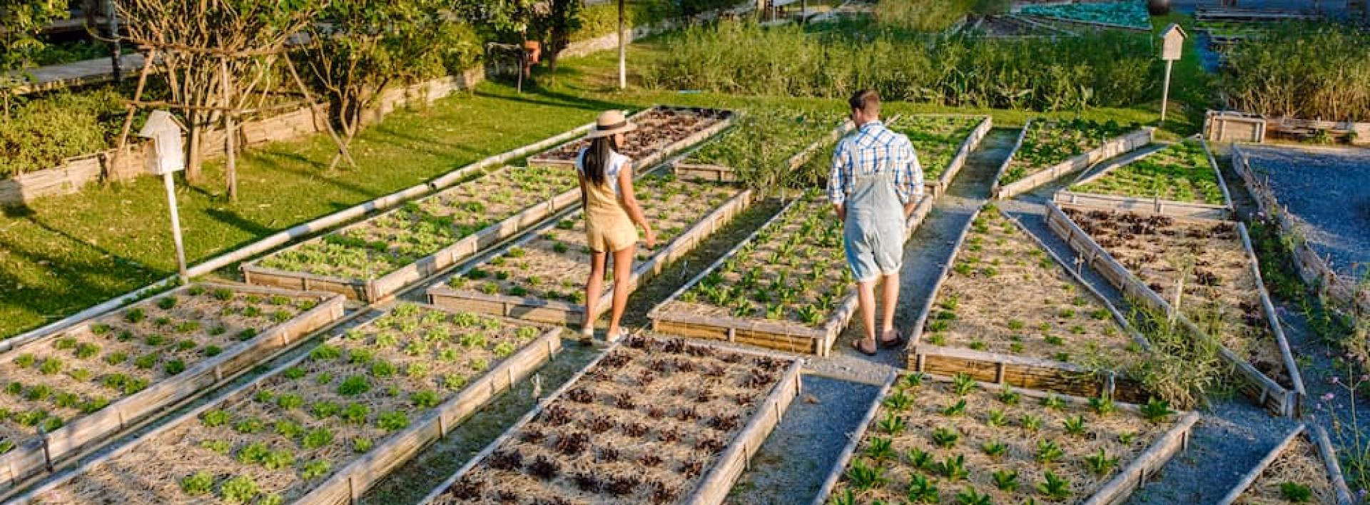 ¿Por qué el agroturismo es una alternativa sostenible?