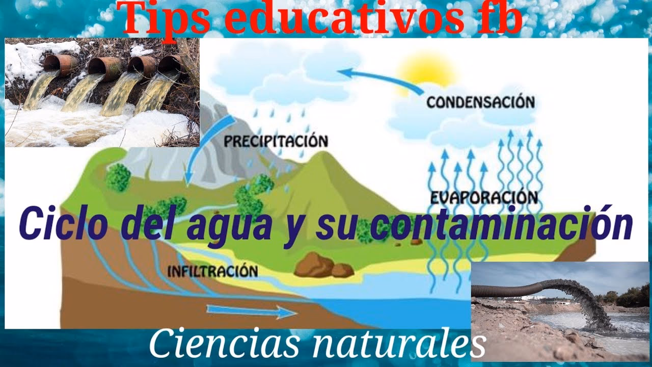 ¿Cómo prevenir la contaminación del ciclo del agua?