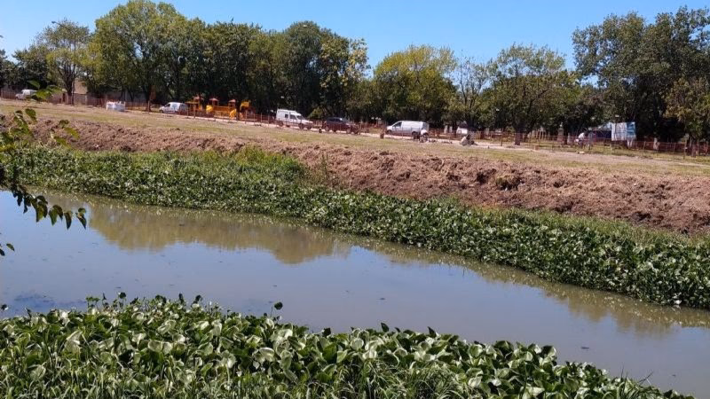 ¿Qué colectividades hay en Ensenada y Berisso?