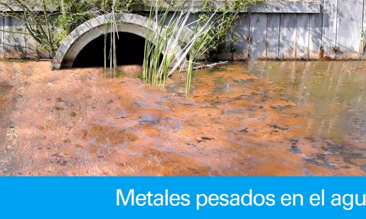 ¿Cómo detectar metales pesados en aguas contaminadas?