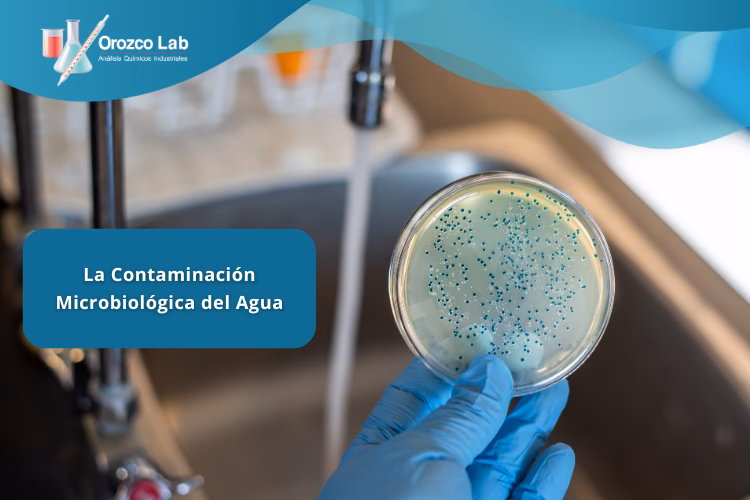 ¿Cuáles son los aspectos químicos del agua?