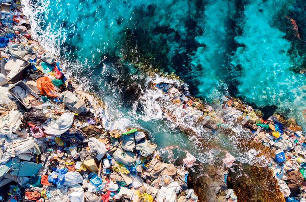 ¿Cómo reducir la contaminación por plásticos y microplásticos?