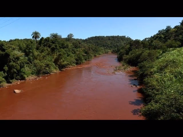¿Cuáles son las principales causas de la contaminación de las playas del sur de Brasil?