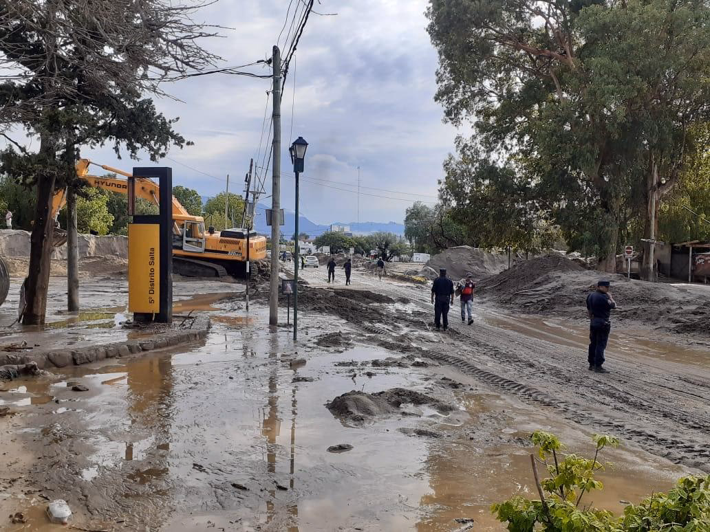 ¿Cómo afecta la falta de agua a los vegetales en la Caatinga?